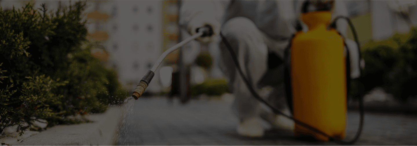 Premium Home Defense Plan